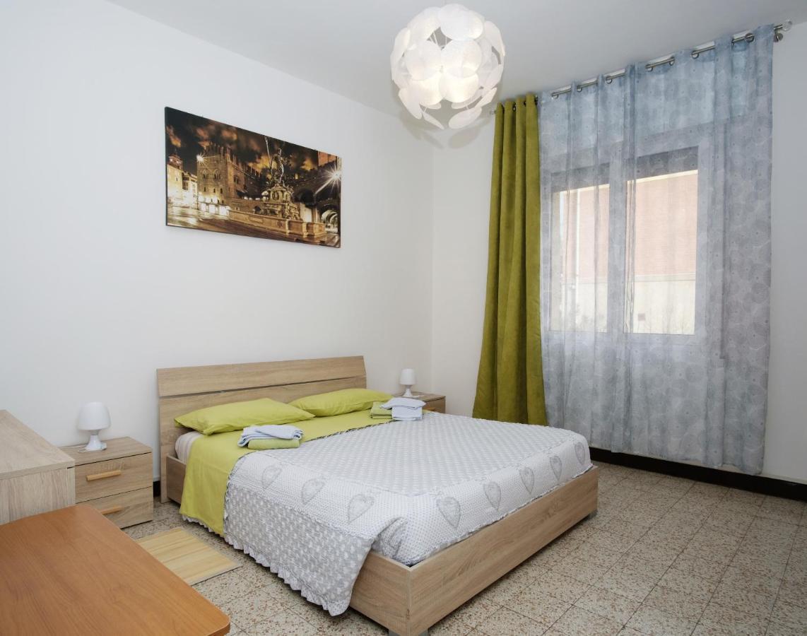 Dream Bolonia